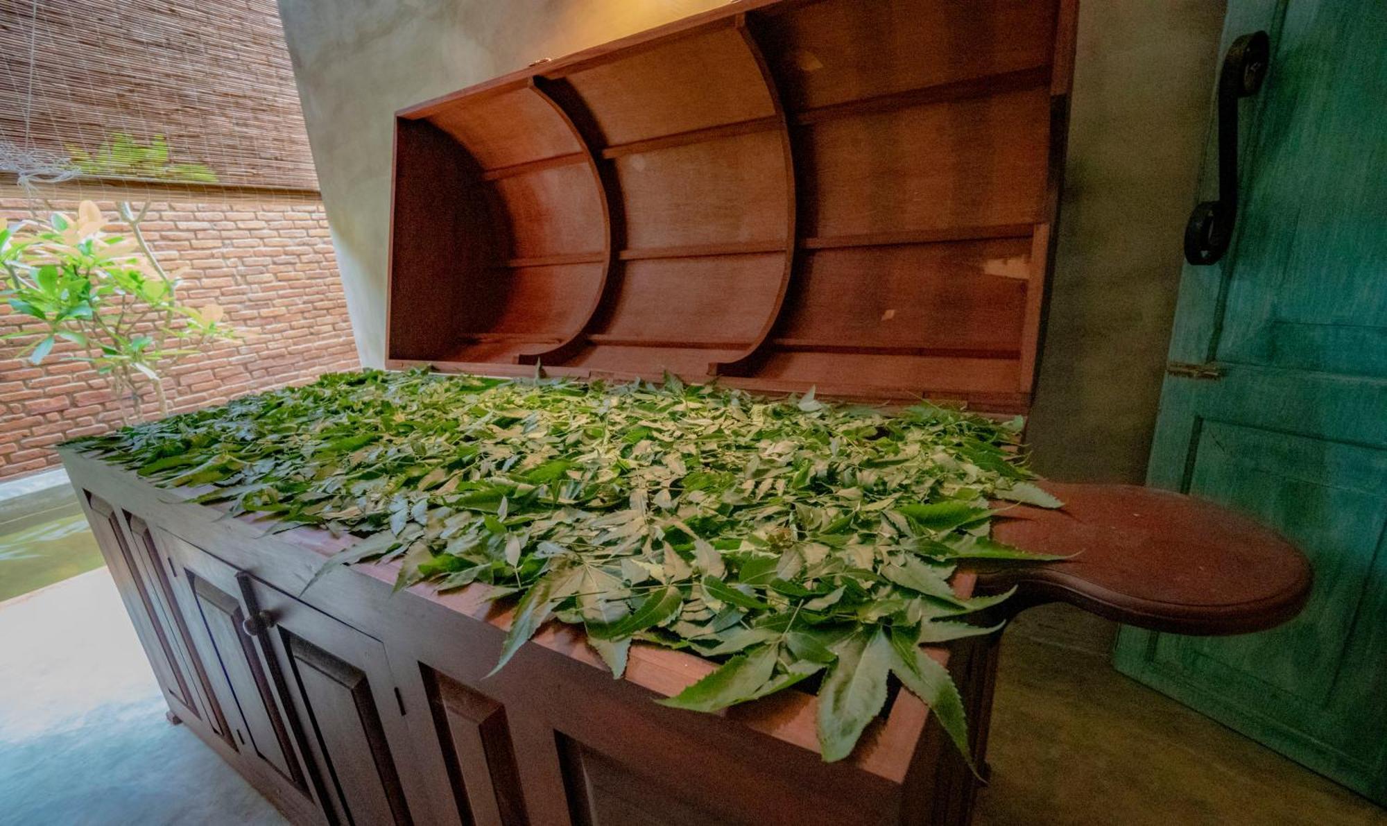 Ayur Ayur Resort & Ayurveda Retreat Negombo Ngoại thất bức ảnh